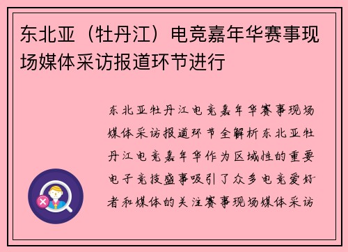 东北亚（牡丹江）电竞嘉年华赛事现场媒体采访报道环节进行